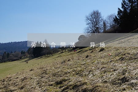 劳动合同法 异地 劳动合同法 异地